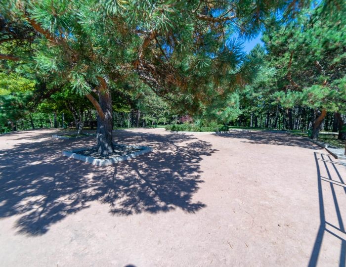 Внешний вид и территория - Санаторий «им. Горького» Кисловодск