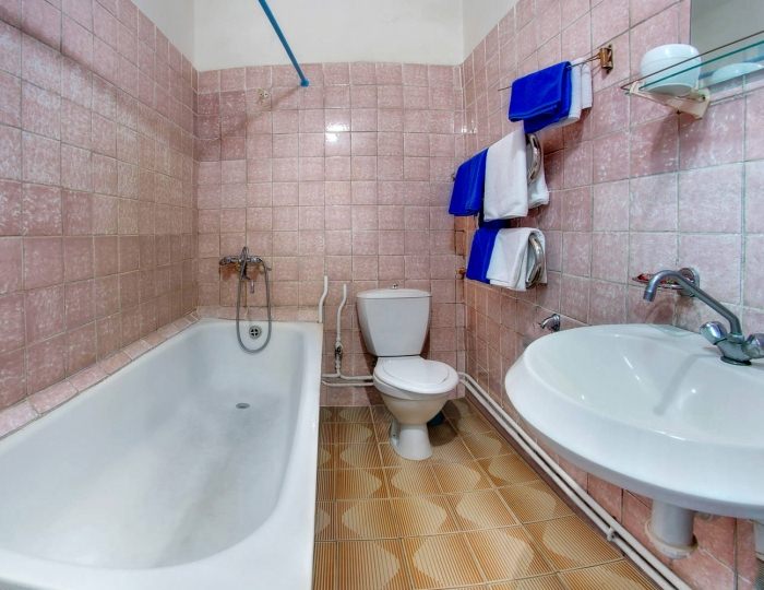 1 категория эконом двухместный - Санаторий «им. Горького» Кисловодск